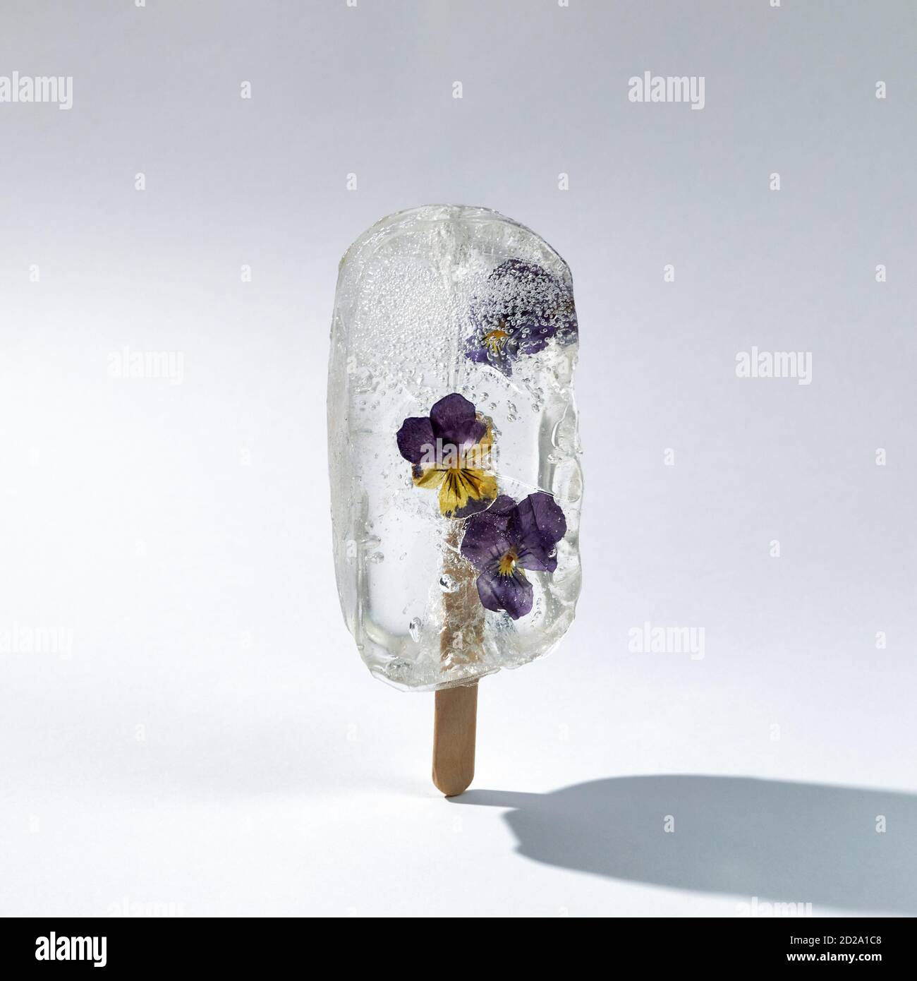 Gelato con falciatrici secche. Pop-sicle trasparente, ghiaccio congelato. Foto Stock