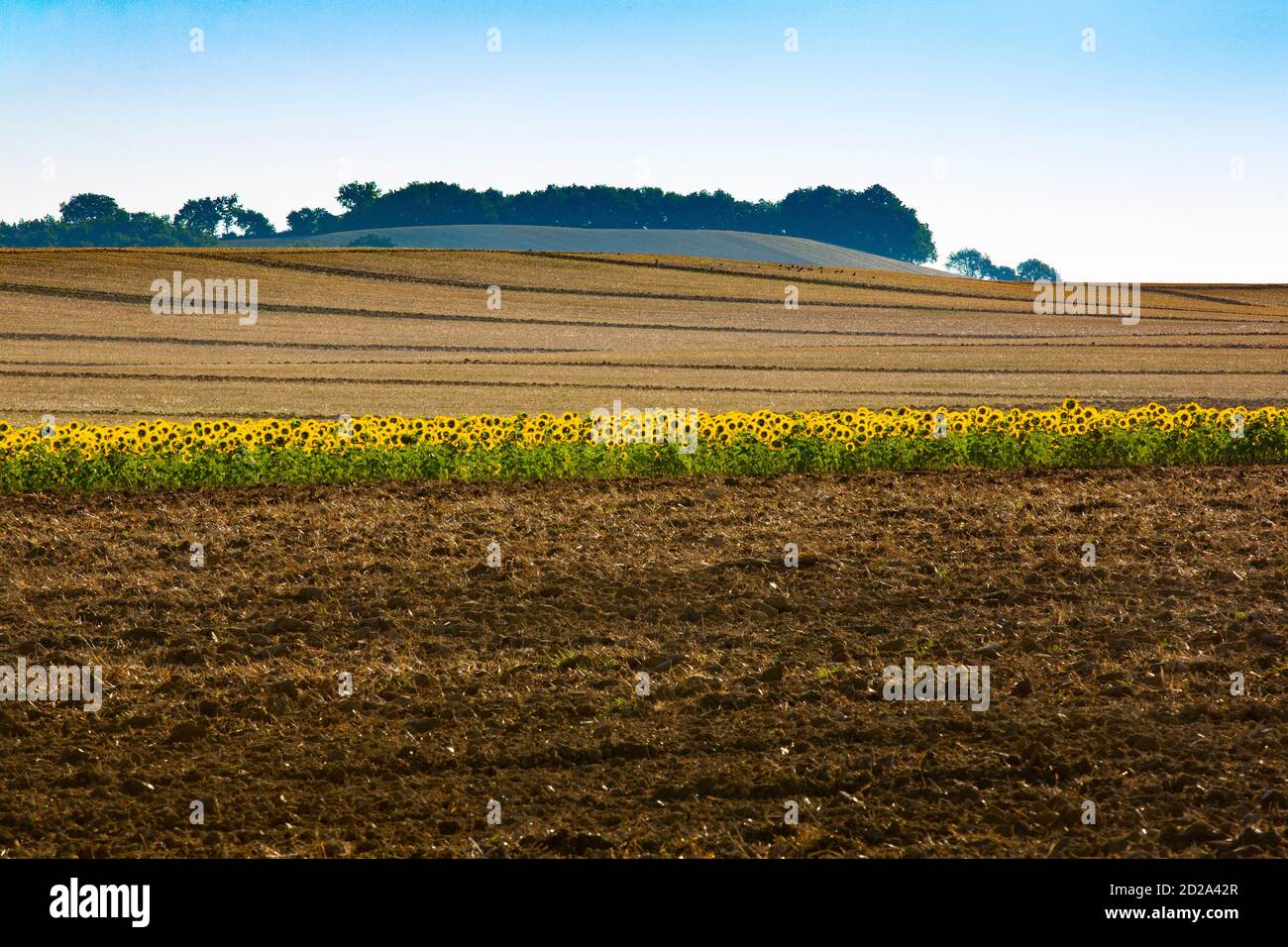 Un paesaggio agricolo di dolci colline che sono tipici della regione di Gers del sud-ovest della Francia. Foto Stock