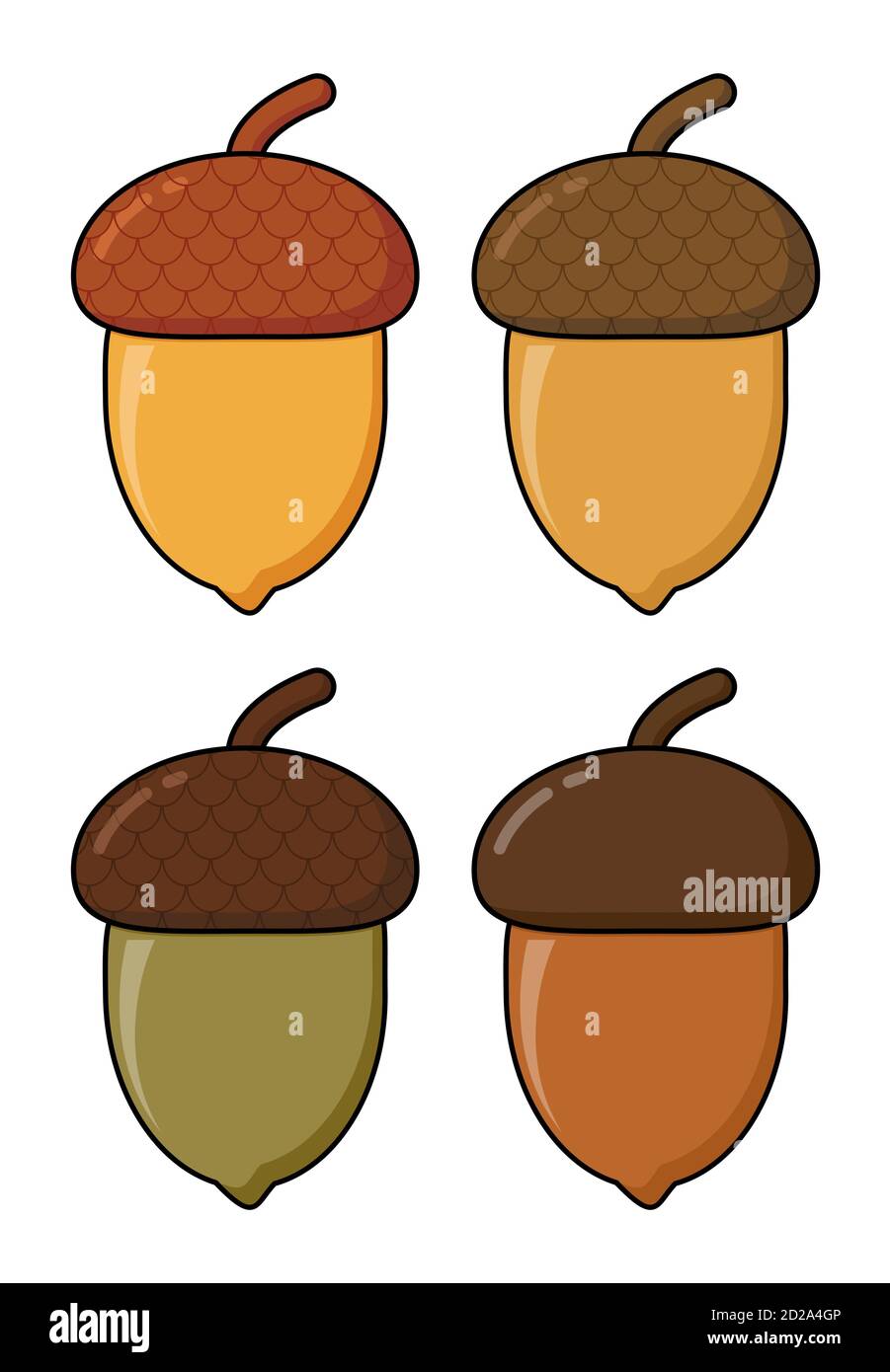 Vettore cartoon Acorn isolato su bianco. Frutti di quercia con icona a forma di cappello in diversi colori. Illustrazione di ghiande di noce di quercia autunnale con shel Illustrazione Vettoriale
