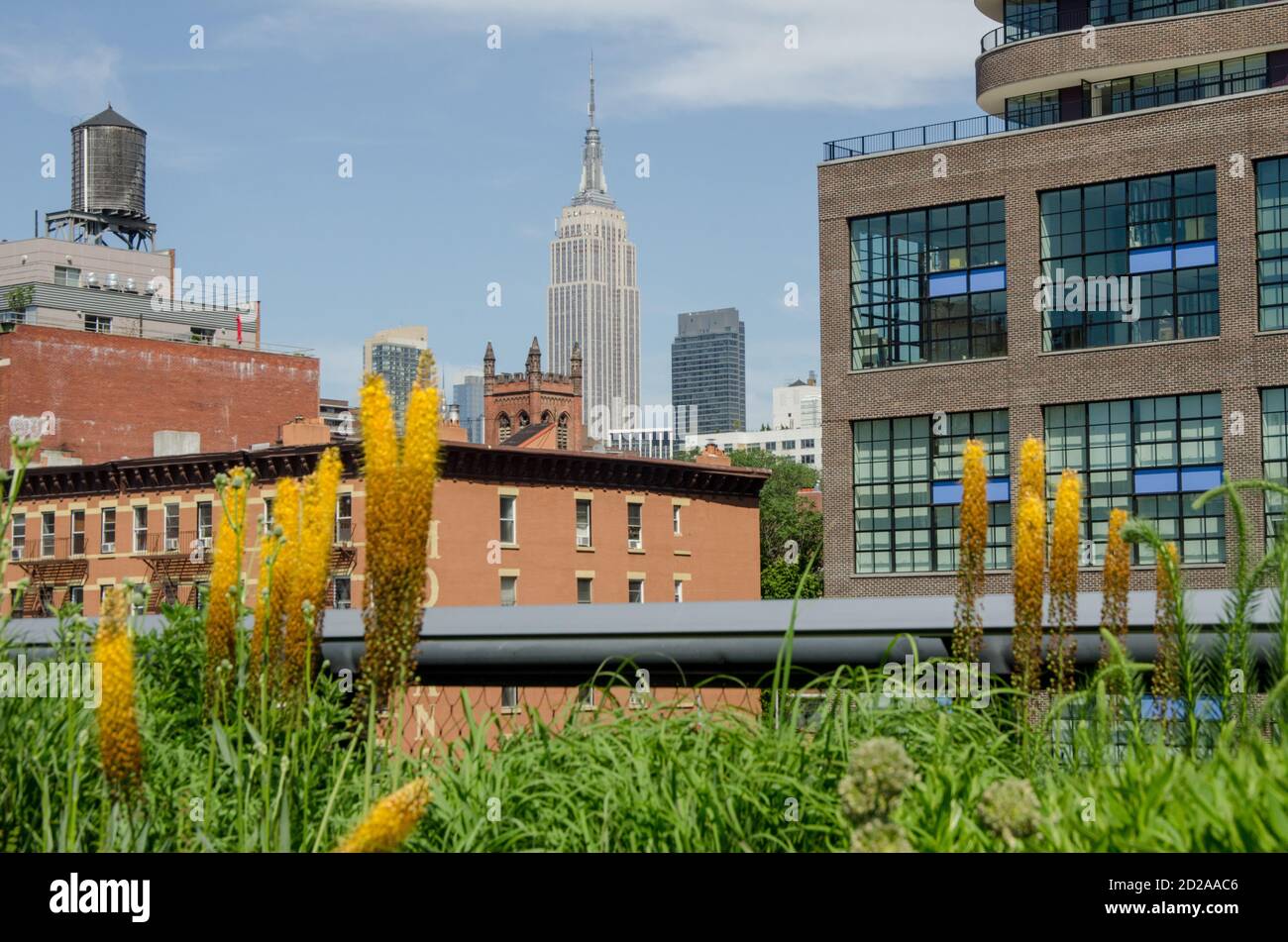 Vista dalla High Line a New York. Foto di Liz Roll Foto Stock
