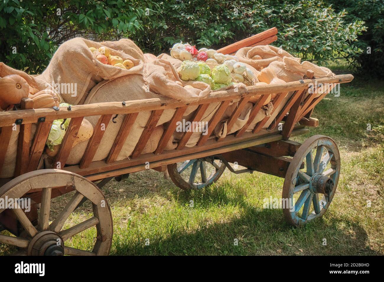 Zucche, cavolo, cipolle e altre verdure si trovano in natura in un carrello  di legno. Antico carro con verdure e frutta è venuto al mercato. Mela  matura Foto stock - Alamy