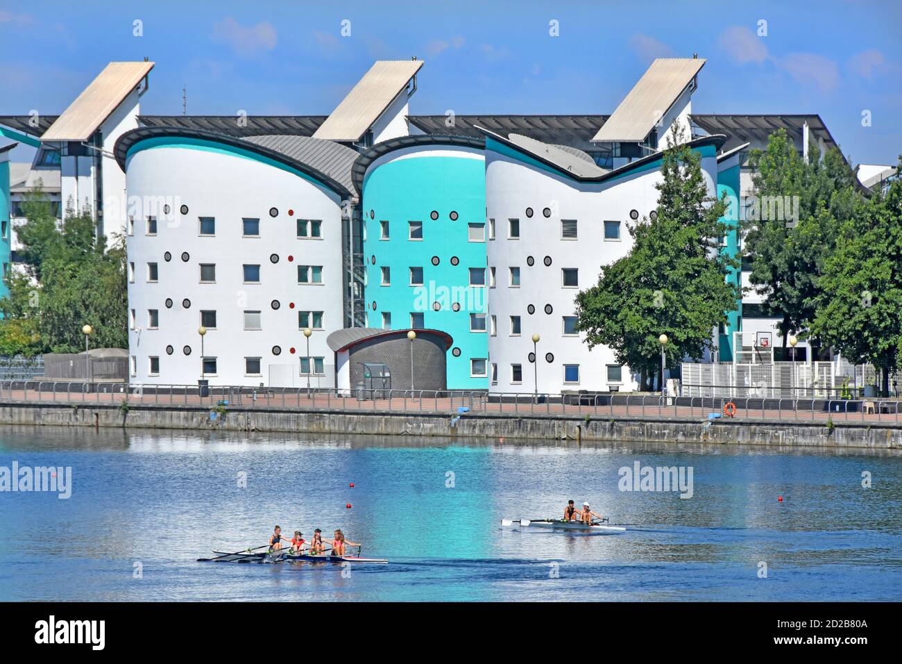 Royal Docks corso di canottaggio giovani donne atlete allenando coxless quadrupla Scull e due giovani uomini vogatori in doppio scull UEL Edifici del campus oltre il Regno Unito Foto Stock