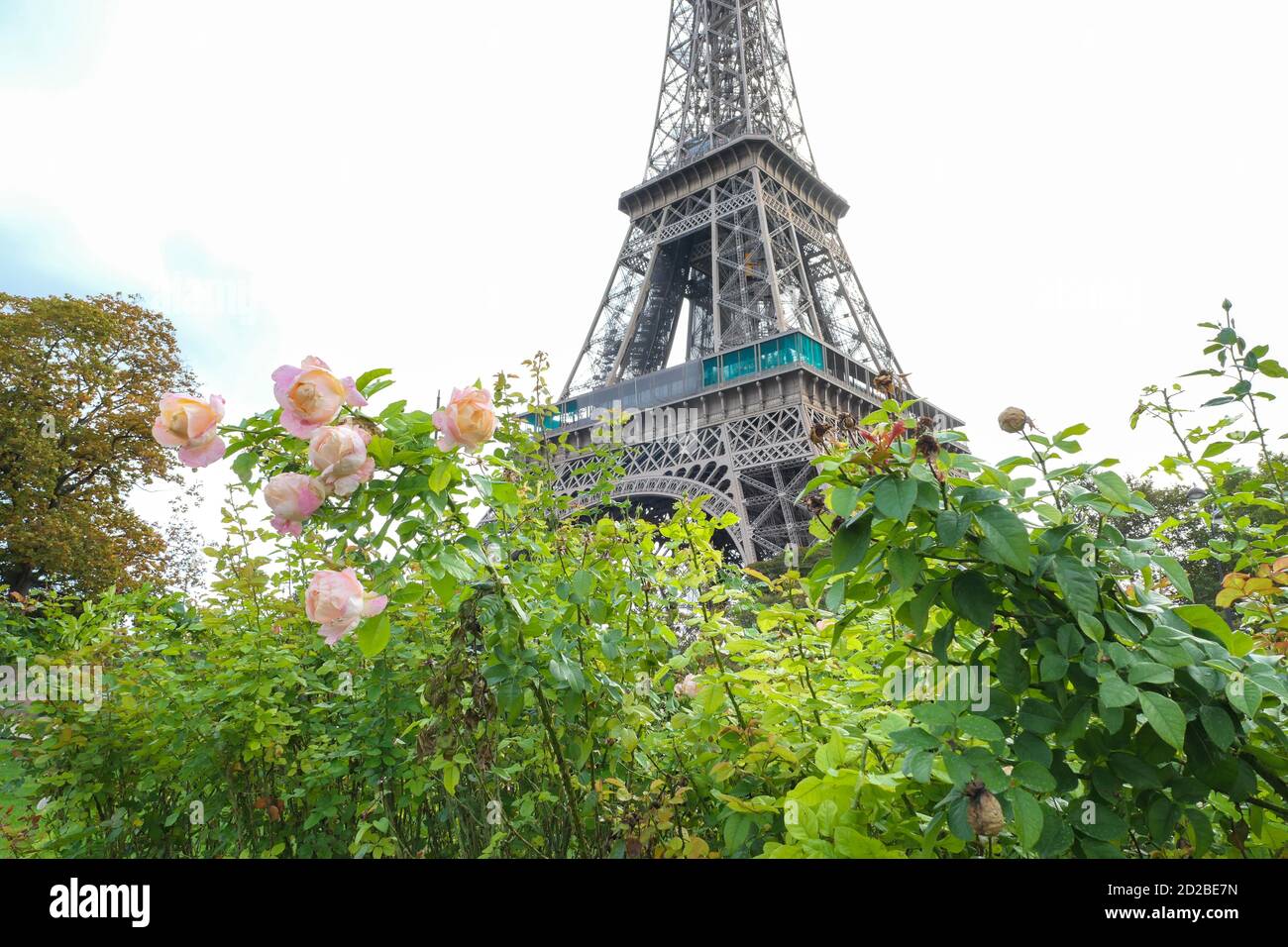 Parigi, Francia. Ottobre 04. 2020. Torre Eiffel. Un luogo popolare tra turisti da tutto il mondo. Architettura in ferro risalente al XIX secolo Foto Stock