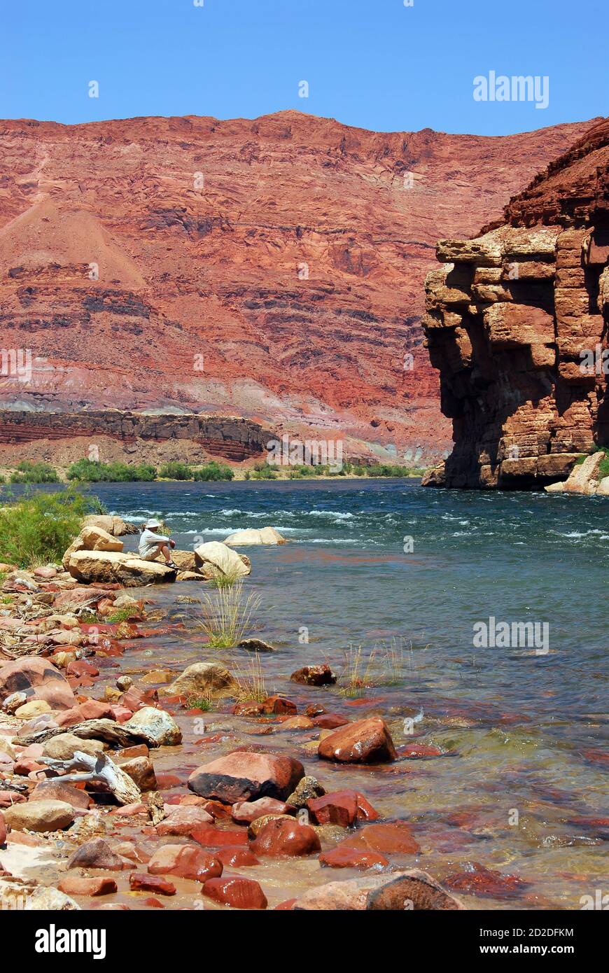 Rocce colorate nel fiume Colorado a Glen Canyon, sotto la diga di Glen Canyon, Arizona Foto Stock