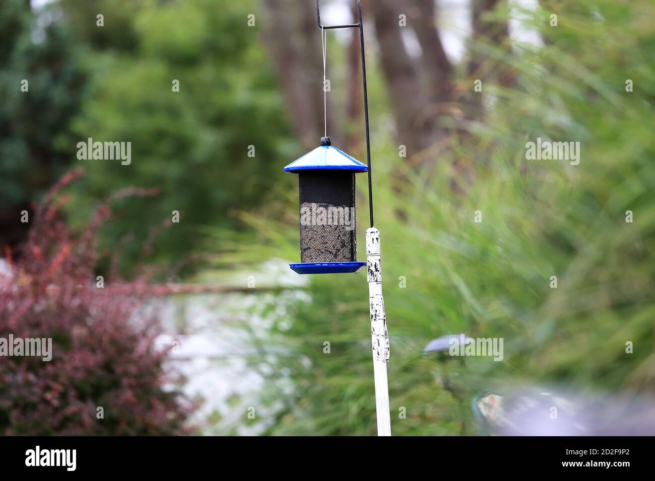 Alimentatore di uccelli cortile Long Island New York Foto Stock