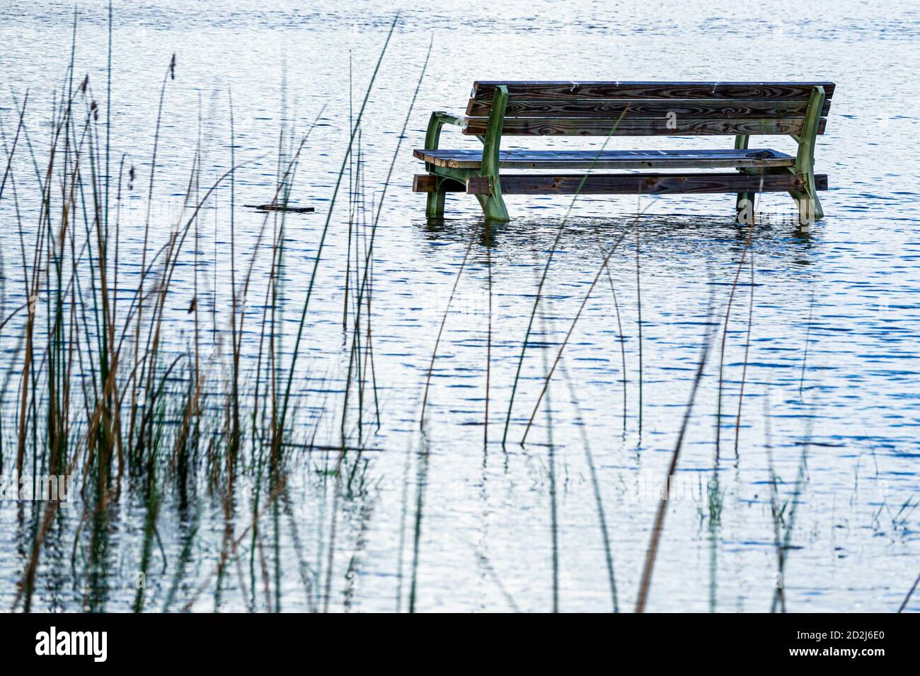 Lago Wales Florida,Lago Saint St. Anne,panchina parco,parzialmente sommerso,litorale allagato,erbe,allagamento allagamento globale riscaldamento clima crisi,vi Foto Stock