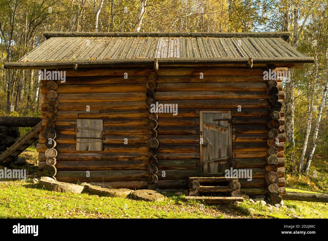 Edificio in legno sullo sfondo di un boschetto di betulla. Regione di Irkutsk, Taltsy Foto Stock