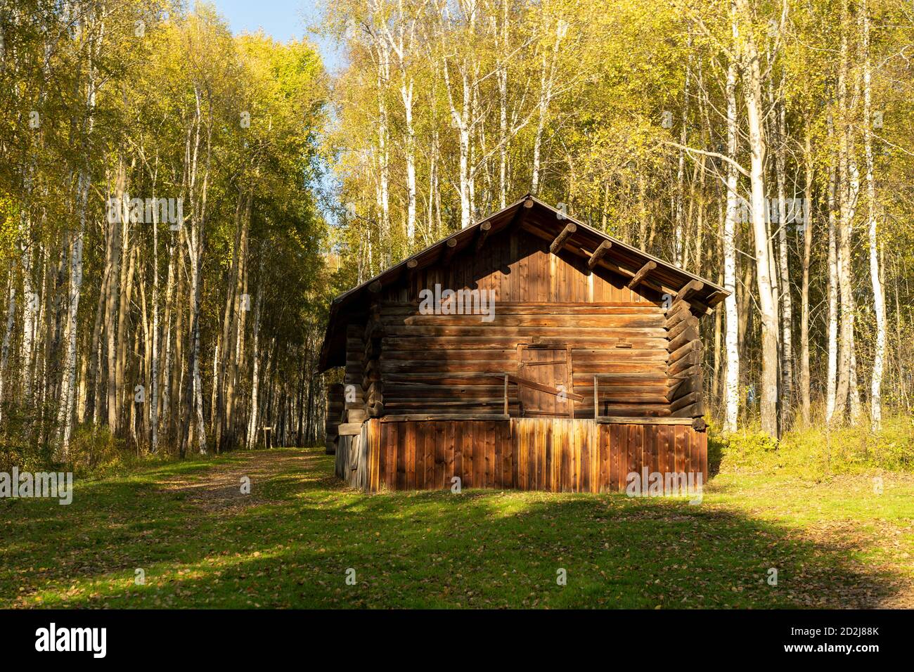 Edificio in legno sullo sfondo di un boschetto di betulla. Regione di Irkutsk, Taltsy Foto Stock