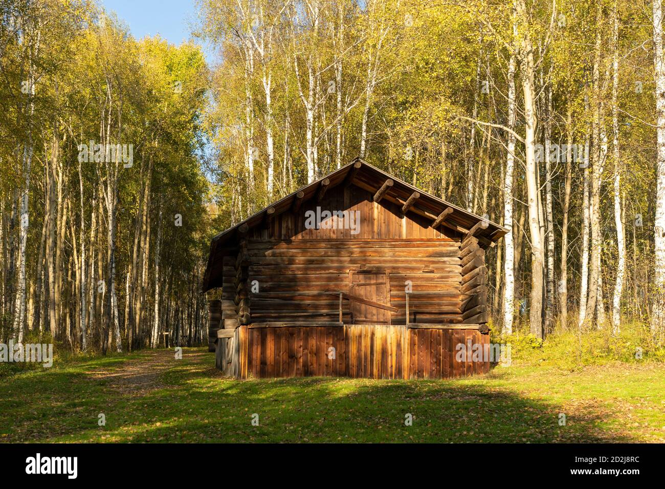 Edificio in legno sullo sfondo di un boschetto di betulla. Regione di Irkutsk, Taltsy Foto Stock