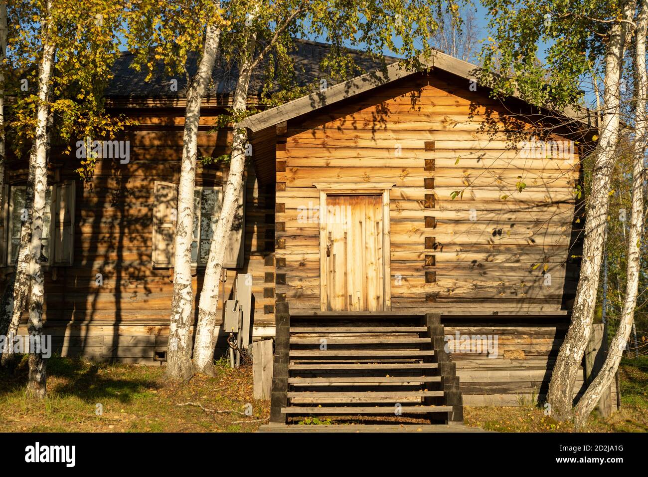 Edificio in legno sullo sfondo di un boschetto di betulla. Regione di Irkutsk, Taltsy Foto Stock