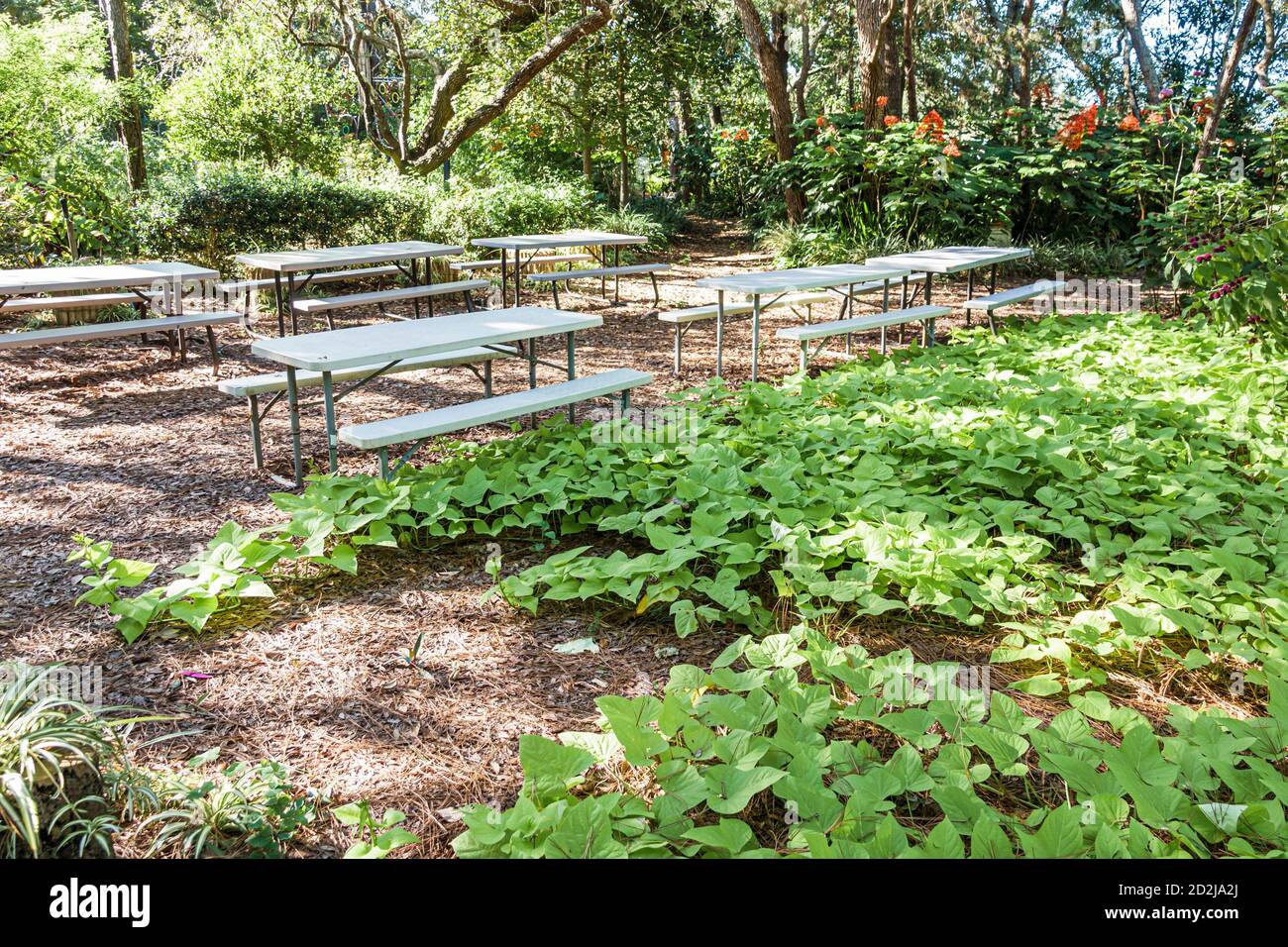 Spring Hill Florida, Nature Coast Botanical Gardens, panchine da picnic non utilizzate vacanti, due Covid-19 coronavirus pandemia malattia infettiva hea Foto Stock