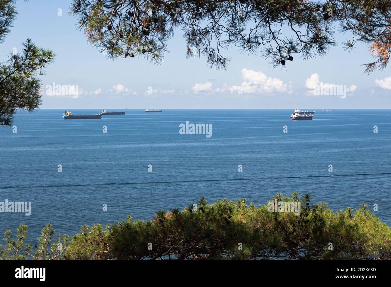 Primo piano del paesaggio estivo. Mare blu, nuvole sull'orizzonte e navi da carico, vista attraverso i rami verdi di alberi. Gelendzhik. Russia Foto Stock