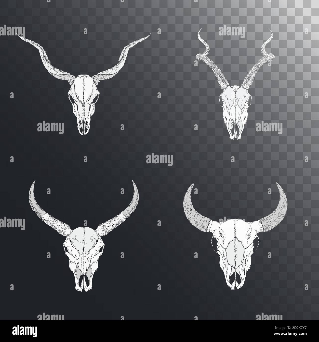 Serie vettoriale di teschi disegnati a mano di animali cornati: toro, bufali selvatici e antilopi su sfondo scuro. Silhouette bianche. Per la progettazione, tatuaggio o m Illustrazione Vettoriale