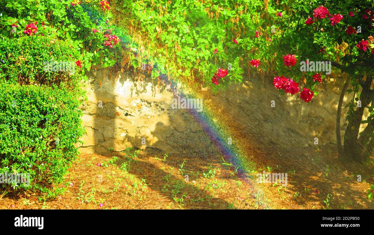 Sprinkler annaffiatura arbusti e piante su terrapieno creando arcobaleno in Caldo sole primaverile andaluso Foto Stock