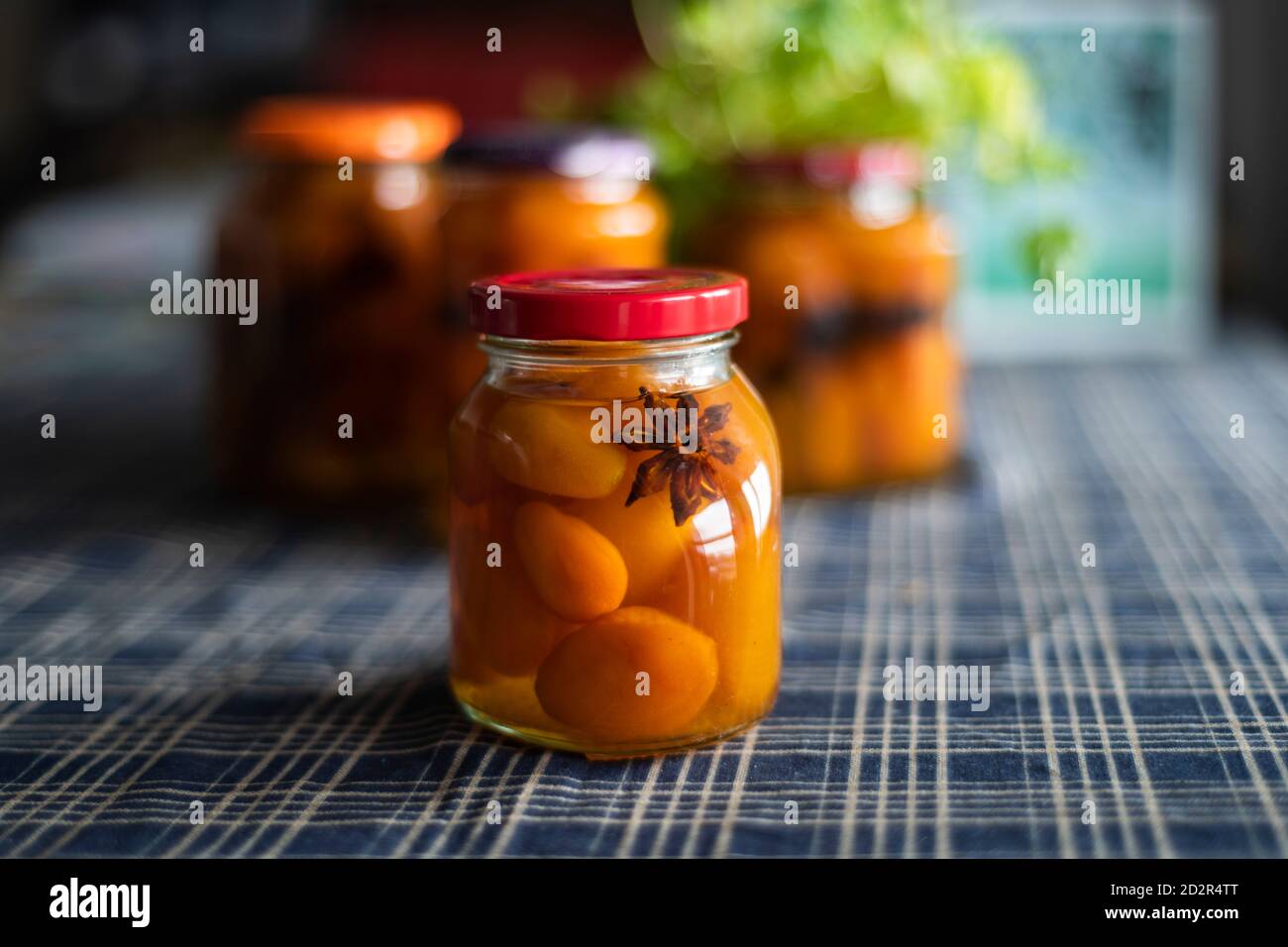 Kumquat conservati in casa con anice stellato. Foto Stock