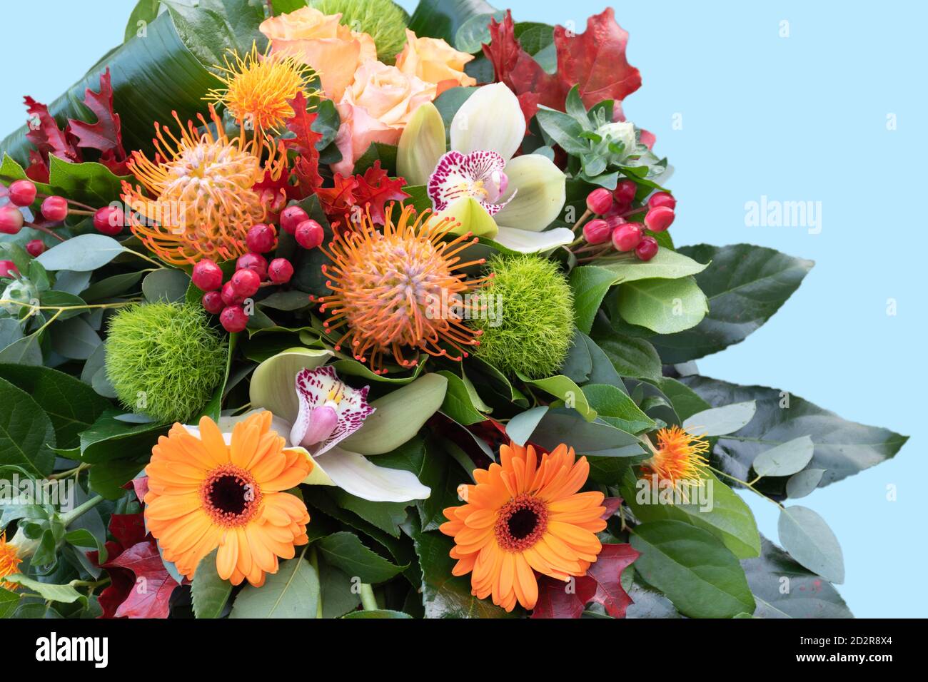 Composizione floreale con fiori d'arancio. Bouquet autunnale di lusso. Foto Stock