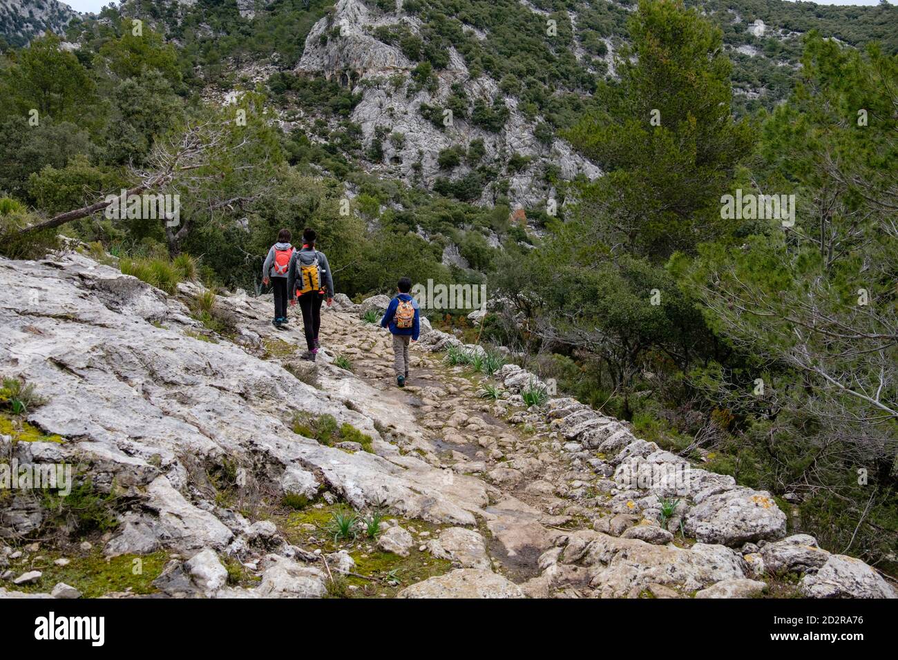 ruta de la Pedre en sec, Tossals Verds, Paraje natural de la Serra de Tramuntana, Maiorca, Isole baleari, Spagna Foto Stock