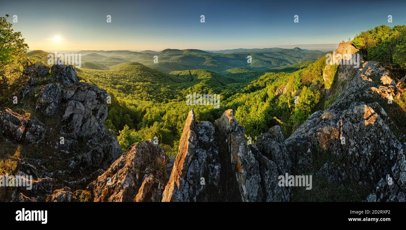 Panorama di foresta e montagna in Carpazi con sole, Slovacchia Foto Stock