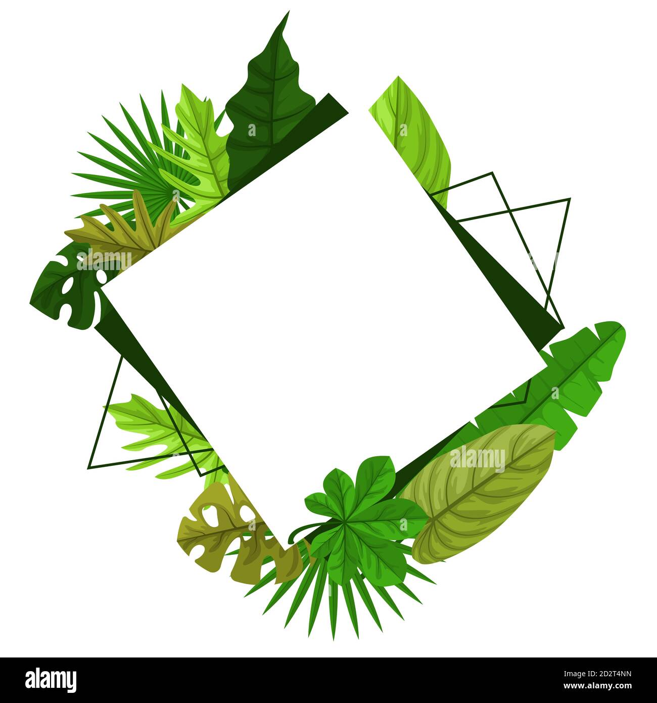 Rettangolare verde tropicale pianta Summer foglia cornice di bordo sfondo Illustrazione Vettoriale