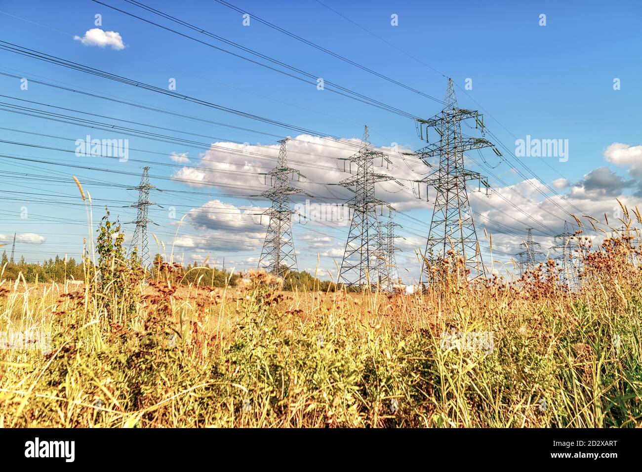 Paesaggio con linea elettrica ad alta tensione nel campo contro le nuvole nel cielo. Vista ad angolo basso Foto Stock