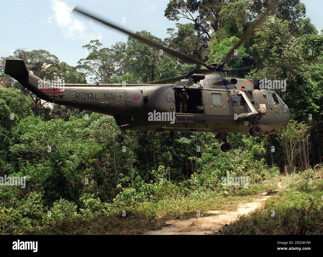 UN SEAKING DA 845 SQUADRONE AERONAVALE CHE OPERA NELLA GIUNGLA DI BRUNEI CON 3 MARINES REALI DEL COMMANDO BRIGADE. I ROYAL MARINES STANNO PARTECIPANDO A UN ESERCIZIO COMBINATO CON LE FORZE ARMATE DEL ROYAL BRUNEI VOLTO A RAFFORZARE LE RELAZIONI BILATERALI DI DIFESA. PER ULTERIORI DETTAGLI CONTATTARE CAPT NORMAN 0171 218 2861 Foto Stock