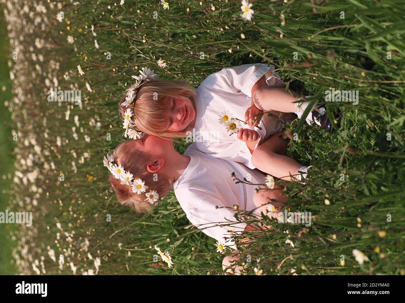 Callum, 5, e Millie Clarke,3, indossare catene a margherita su Hamstead Heath come parte della campagna di sensibilizzazione Toxoplasmosi oggi (Mercoledì). La loro madre Jacquie Clarke campagne per aumentare la consapevolezza del rischio di Toxoplamosis essere passati dalla madre incinta al bambino non ancora nato dopo aver scoperto di avere avuto infezione durante il trasporto di Callum. Il trattamento durante la sua gravidanza ha impedito che l'infezione passasse al bambino e la Toxoplasmosi Trust vuole assicurarsi che più madri sono consapevoli dei rischi e può essere trattata di conseguenza in modo che i loro bambini sono nati sani. Foto di John Stillwel Foto Stock