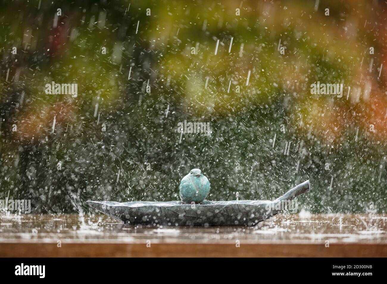 Forti piogge spruzzano intorno a un bagno di uccelli su un tavolo da giardino in Inghilterra, Un acquazzone stagionale nel Regno Unito. Foto Stock