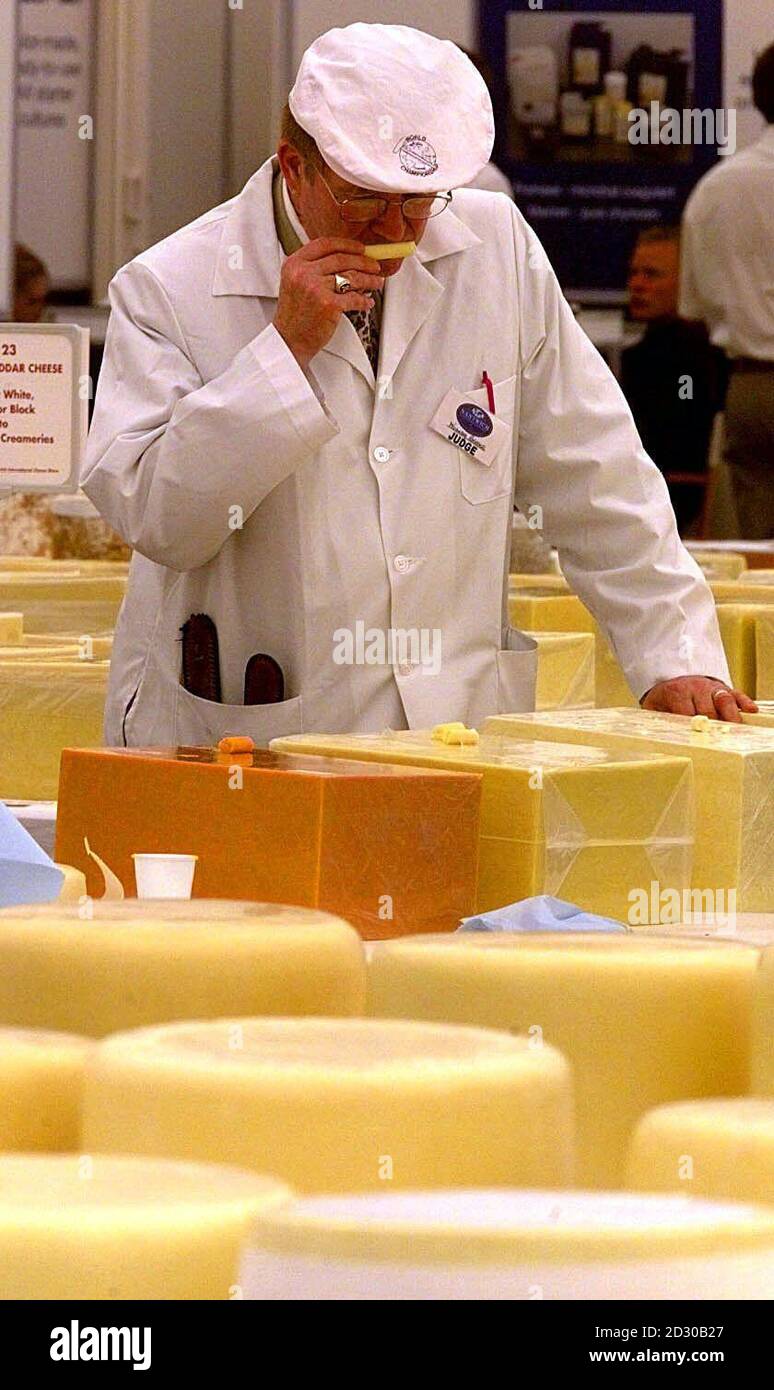 La valutazione è in corso il primo giorno della mostra internazionale del formaggio a Nantwich Cheshire. La più grande mostra di formaggi del mondo, che presenta quasi 2,000 formaggi in un padiglione climatizzato di 2,500 metri quadrati. * la 102° Mostra Internazionale del formaggio di Nantwich presenta formaggi provenienti da 19 paesi, che si aggiudica il titolo conteso di campione Supremo. Foto Stock