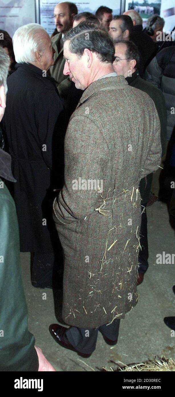 Il Principe del Galles con la paglia sul suo overcoat tweed, ad un pranzo ha ospitato per promuovere la carne britannica a Grove Farm in Gloucestershire. Il Prince ha invitato 22 chef europei a cenare con prelibatezze preparate con manzo del South Devon, ma non ne ha mangiato nessuno. *la portavoce del Principe ha detto: Il Principe ha ceduto il pranzo per la Quaresima. E' quello che ha scelto di rinunciare." Foto Stock