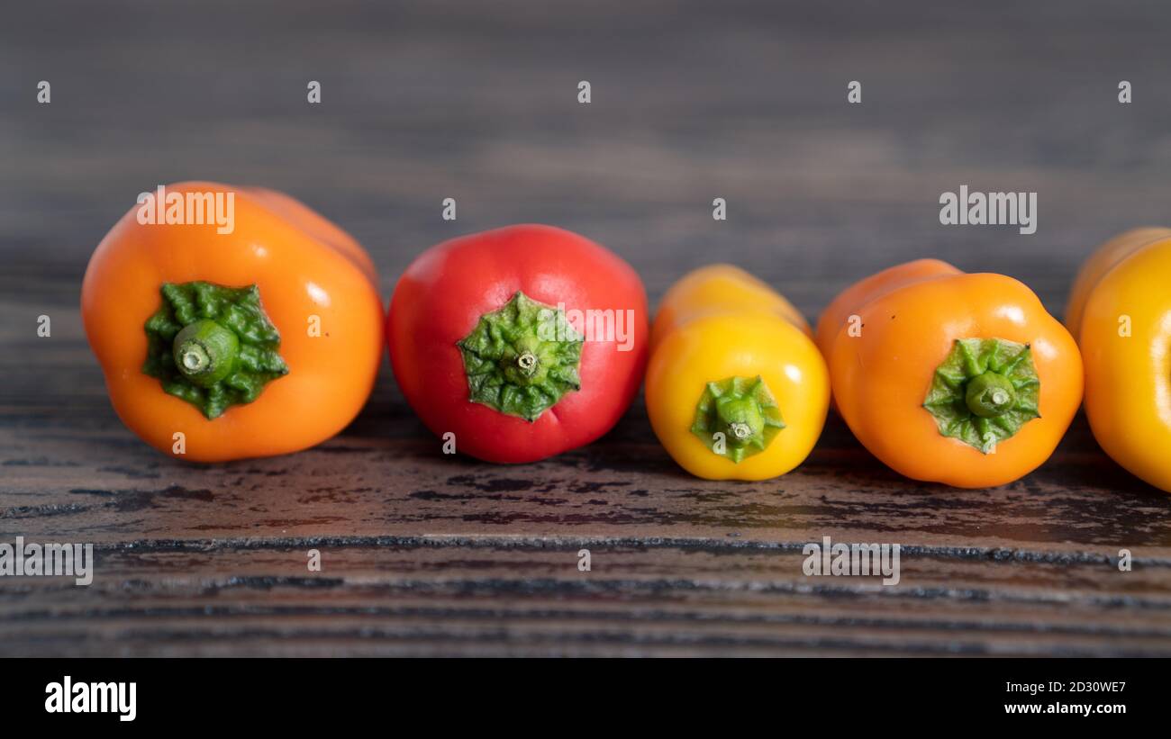 Mini steli paprika colorati su tavolo rustico in legno marrone scuro. Peperoncino dolce sfondo. Foto di alta qualità Foto Stock