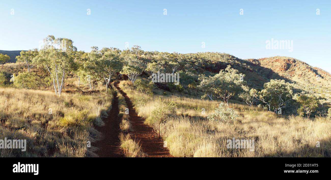 Spider Walk Canyon escursione attraverso la Gola di Hancock del Parco Nazionale di Karijini nell'Australia Occidentale. Foto Stock