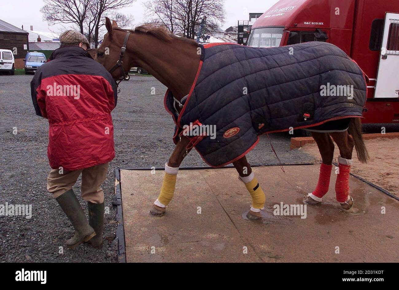 Seguendo le linee guida del piede e della bocca, il corridore Grand National General Wolfe è guidato attraverso un tappeto disinfettato al suo arrivo all'ippodromo di Aintree, Liverpool prima della gara. Foto Stock