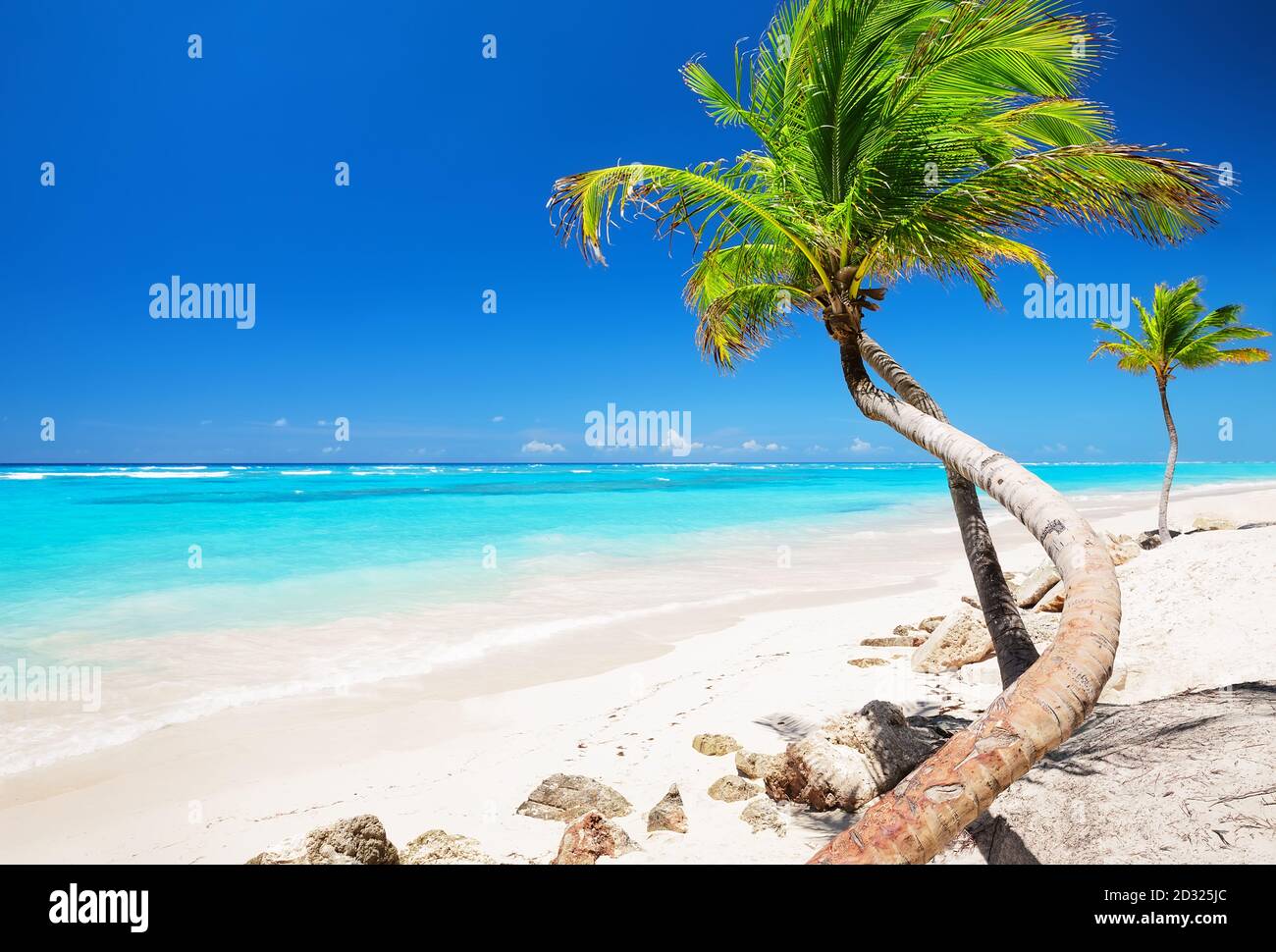 Palme da cocco contro il cielo blu e la bellissima spiaggia di Punta Cana, Repubblica Dominicana. Sfondo vacanze. Vista sulla bella tropica Foto Stock