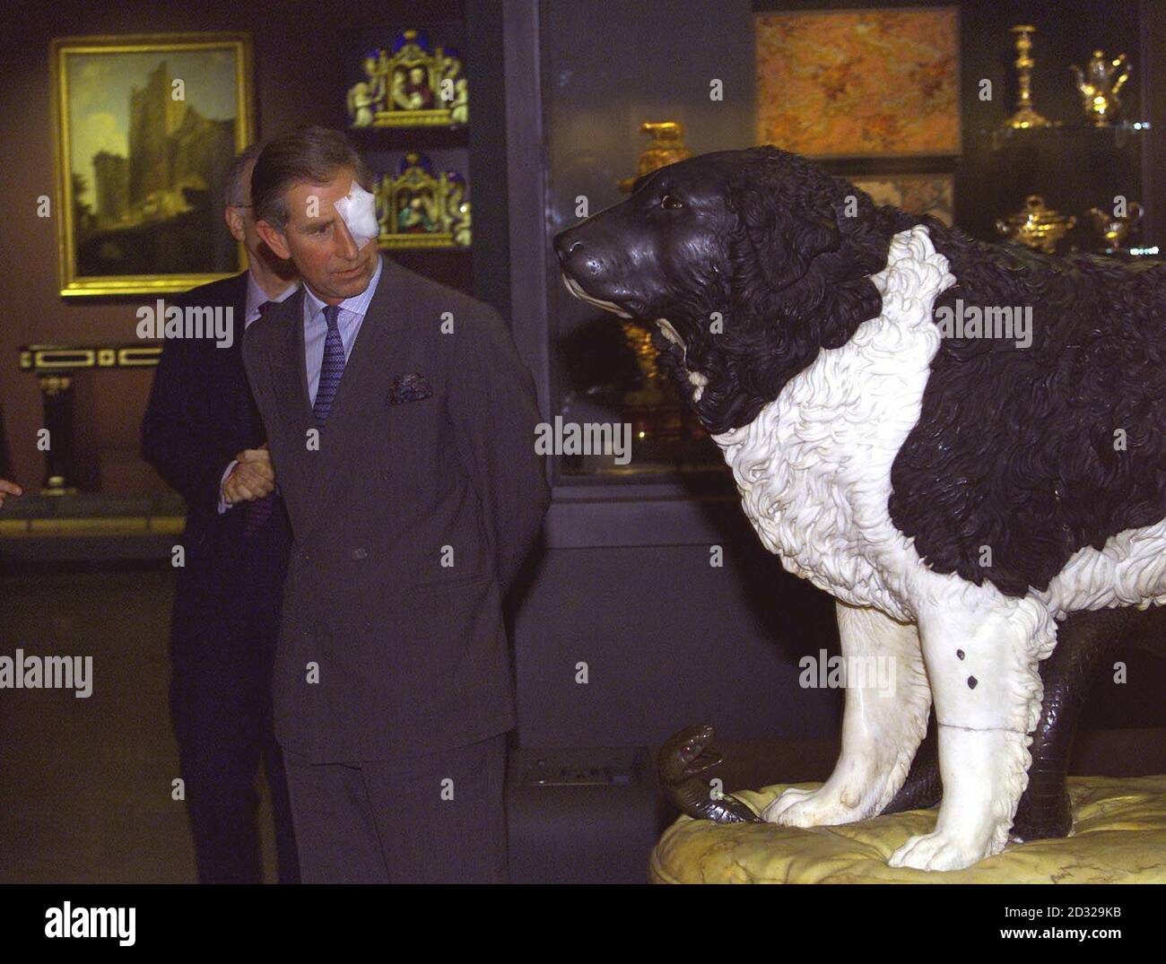 Il Principe del Galles indossa un vestito sopra un occhio sinistro ferito - sostenuto dopo avere ottenuto la polvere nel suo occhio mentre sega un albero nel suo giardino durante il fine settimana - esamina una mostra mentre apre una nuova galleria al Victoria and Albert Museum a Londra questa sera. Foto Stock