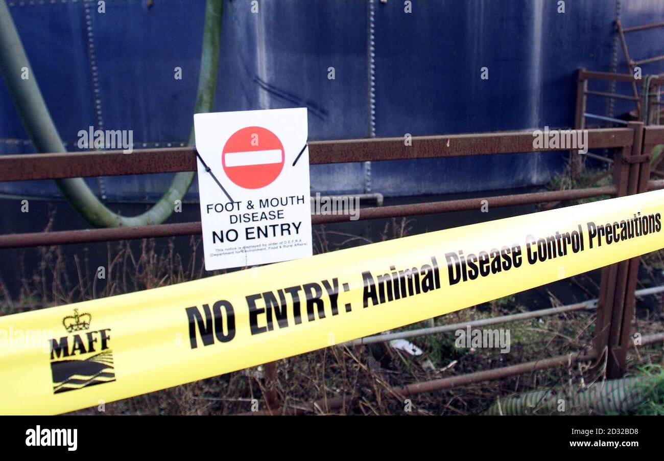 Burnside Farm in Northumberland di proprietà di Bobby Waugh, è ancora una zona no-go. L'azienda è stata identificata dal governo come la prima azienda del paese a contrarre la malattia. La Gran Bretagna passava il suo primo giorno ufficialmente libero dall'afta epizootica. *... - 11 mesi dopo la prima epidemia ha paralizzato la campagna. La rimozione dello status di a rischio dal Northumberland è un altro passo avanti nel far dichiarare ufficialmente la Gran Bretagna dalla comunità internazionale. Più di sei milioni di animali sono stati macellati a seguito di 2,030 casi tra febbraio e settembre Foto Stock
