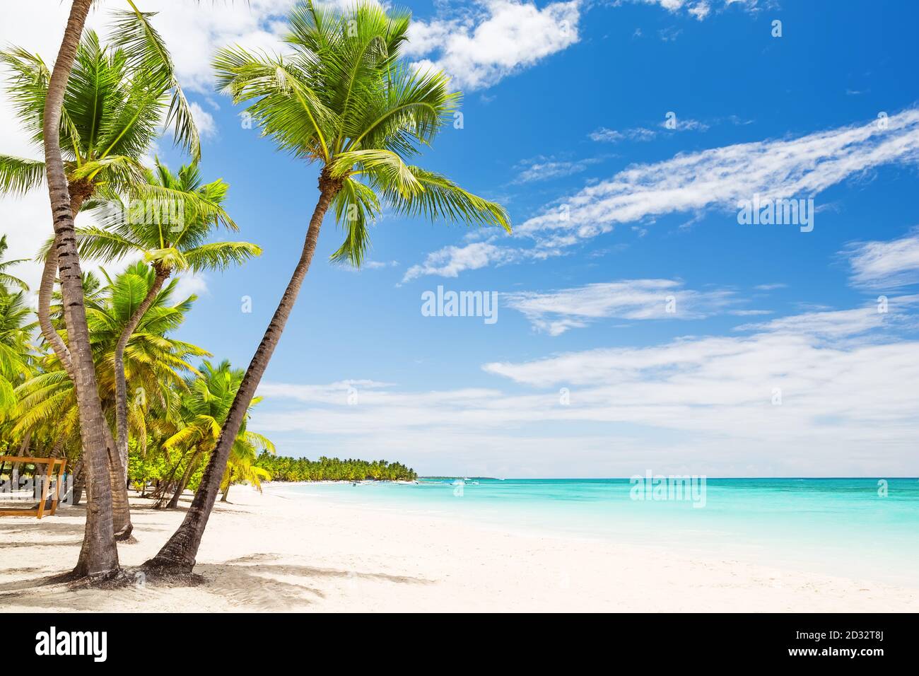 Palme da cocco sulla spiaggia di sabbia bianca di Punta Cana, Repubblica Dominicana Foto Stock
