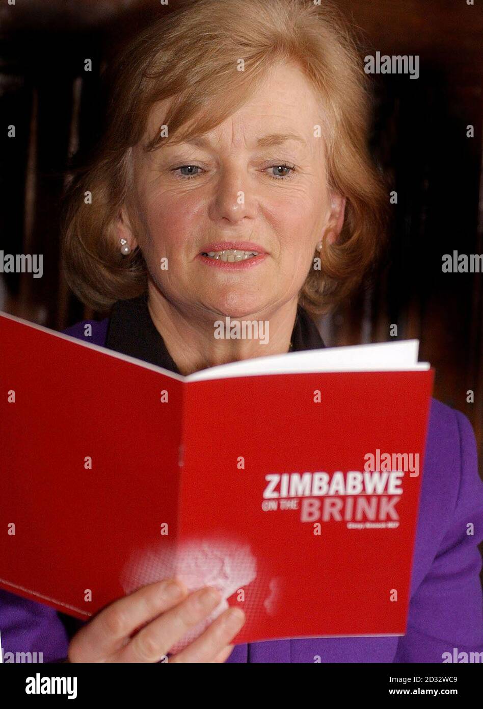 L'eurodeputato Glenys Kinnock ha condannato il governo francese per aver accettato di incontrare il presidente dello Zimbabwe Robert Mugabe in Francia. * Mugabe parteciperà a un vertice franco-africano a Parigi mercoledì dopo la revoca del divieto di viaggio a livello europeo per lui e per i suoi ministri Zanu-PF. La sig.ra Kinnock ha parlato nel centro di Londra in occasione dell'avvio di un nuovo documento che illustra l'attuale situazione politica, economica e sociale dello Zimbabwe. Foto Stock
