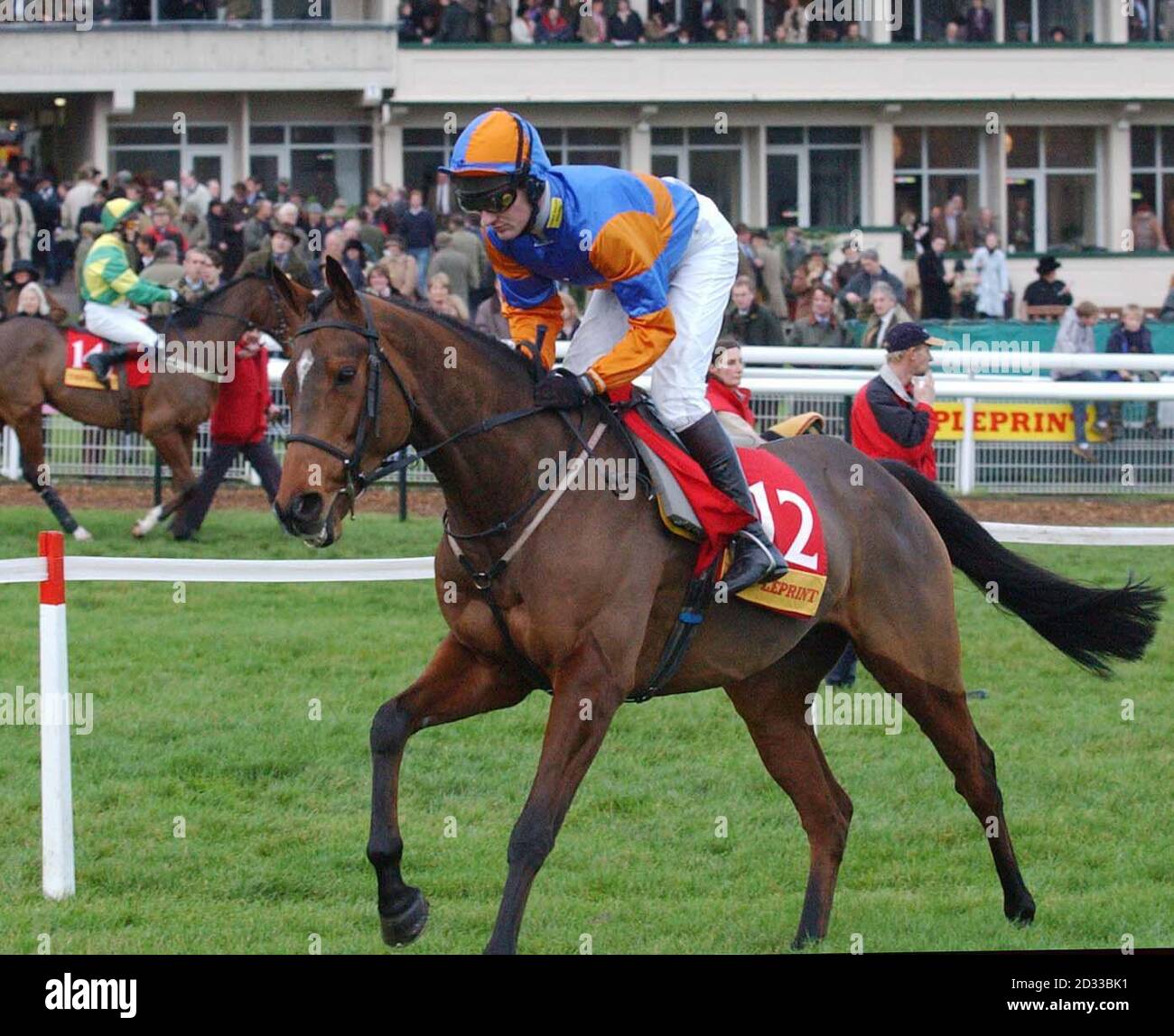 Redemption e jockey W Marston, al Tripleprint Gold Cup Chase a Cheltenham. Foto Stock