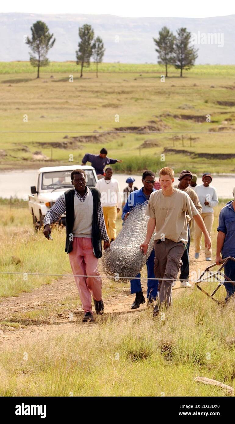 Il principe Harry (a destra), il figlio più giovane del principe britannico Charles, trasporta i materiali per contribuire a costruire una recinzione, alla casa dei bambini di Mants'ase per gli orfani vicino Hoek di Mohale, circa 60 miglia a sud di Maseru in Lesotho. Il principe di 19 anni si trova nel paese sudafricano per tre settimane come parte del suo anno di divari e ha anche incontrato le vittime dell'AIDS e i malati di tubercolosi, ha aiutato in altri progetti comunitari e ha visitato alcune attrazioni turistiche. Foto Stock