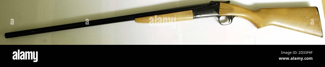 Il fucile usato da John Walker è esposto a Ipswich Crown Court, lo scienziato agricolo in pensione che ha fatto saltare a morte sua moglie con un solo colpo da un fucile da caccia a 12 bore è stato oggi condannato per omicidio. Walker, 66 anni, ammise di sparare a sua moglie Glenda, 63 anni, il 12 2002 novembre, dopo che lei lo 'guastò', 'guastò', e gli 'negò'. Ma negò di ucciderla, con la sua squadra di difesa che sosteneva una minore responsabilità e provocazione. Foto Stock