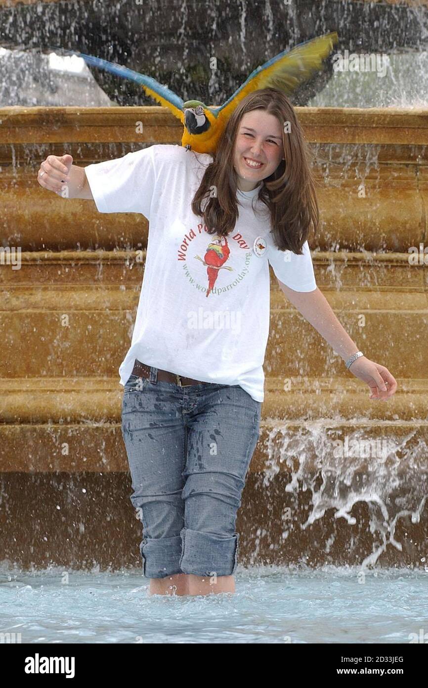 Jessica Shortland, 18 anni, da Twickenham, si raffredda in una fontana in Trafalgar Square a Londra con un Macaw giallo e blu, "Gizmo", amante dell'acqua, dopo aver partecipato ai manifestanti che hanno presentato una petizione a Downing Street chiedendo al governo di vietare l'importazione di uccelli selvatici nell'UE. Foto Stock