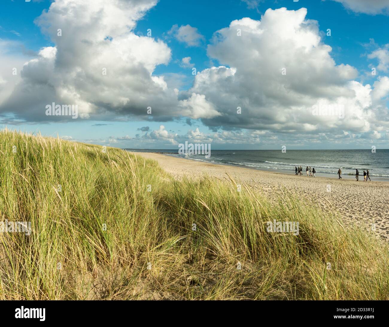 Spiaggia di sabbia con gruppo di persone che camminano lungo la costa. Cielo blu e nuvole spettacolari sul lungomare in tenue luci del tramonto. Hvidbjerg Strand Foto Stock