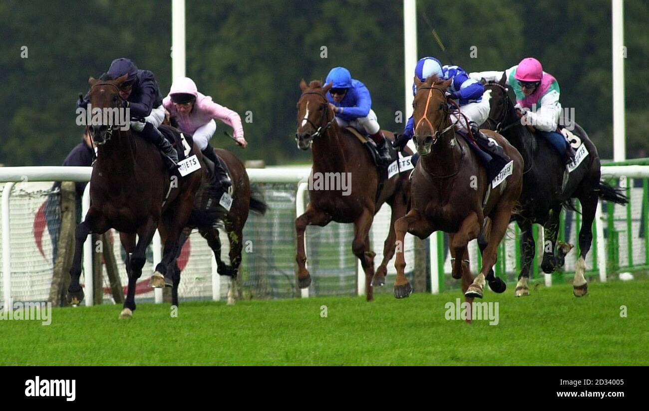 Dove o quando guidato da Kevin Darley (cappello da quartiere blu e bianco) continua a vincere la regina Elizabeth II Stakes da Hawk Wing guidato da Mick Kinane (sinistra, Blu scuro) a Ascot. Foto Stock