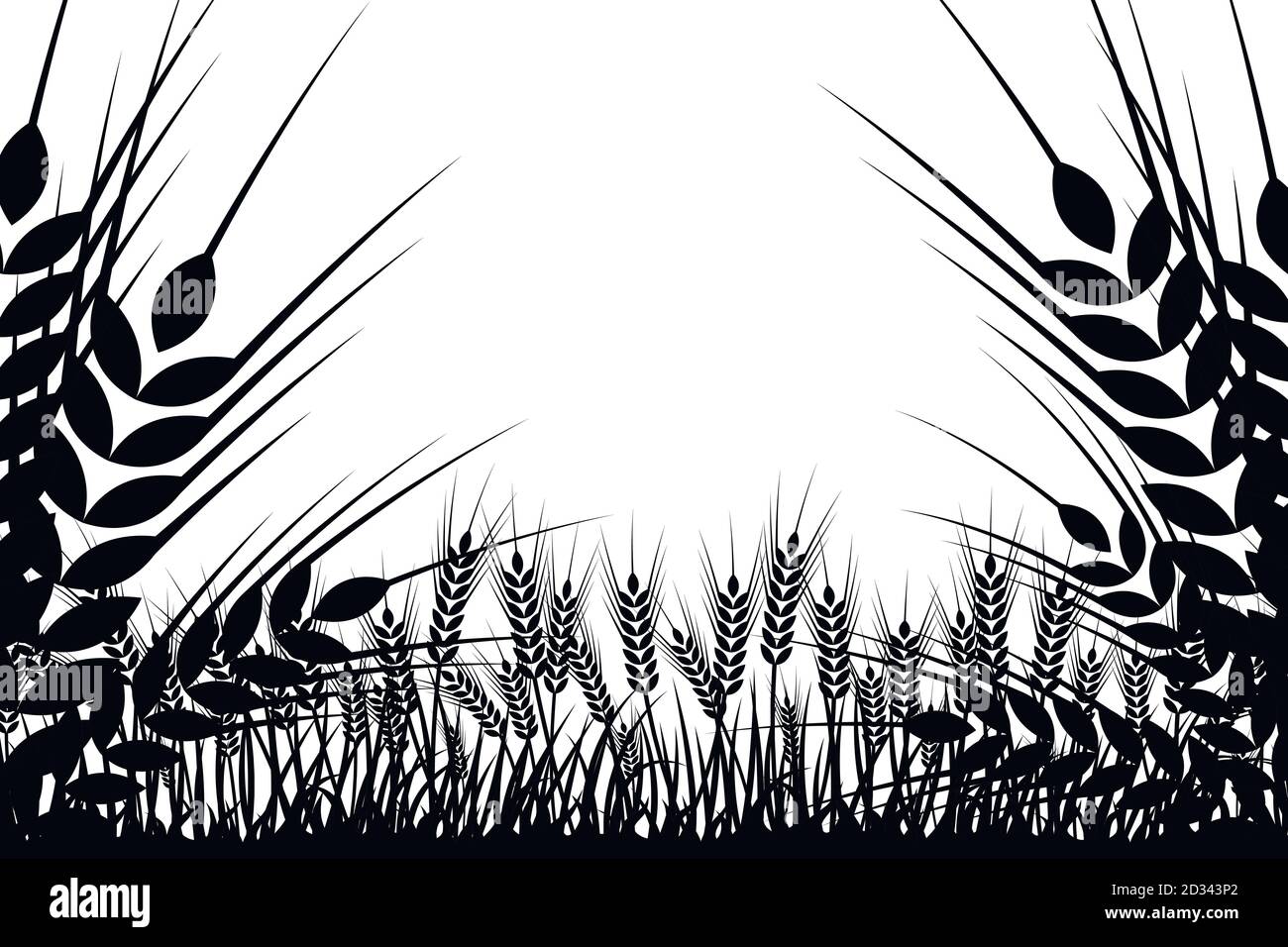 Silhouette vettoriale di grano. Grano nel campo su uno sfondo bianco Illustrazione Vettoriale