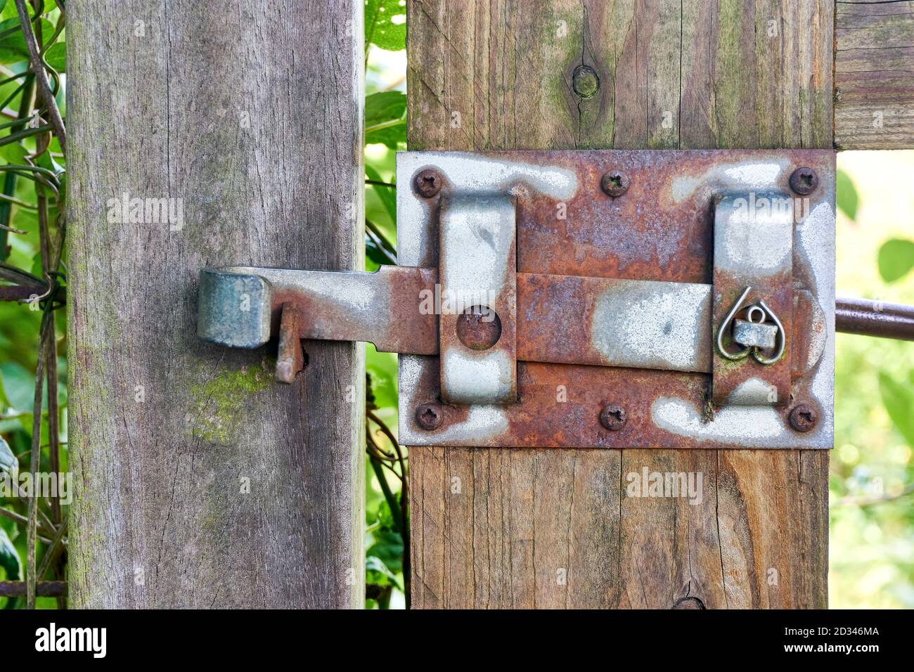 Vecchio dispositivo di chiusura in metallo arrugginito su un cancello da giardino in legno stagionato in posizione chiusa. Foto Stock