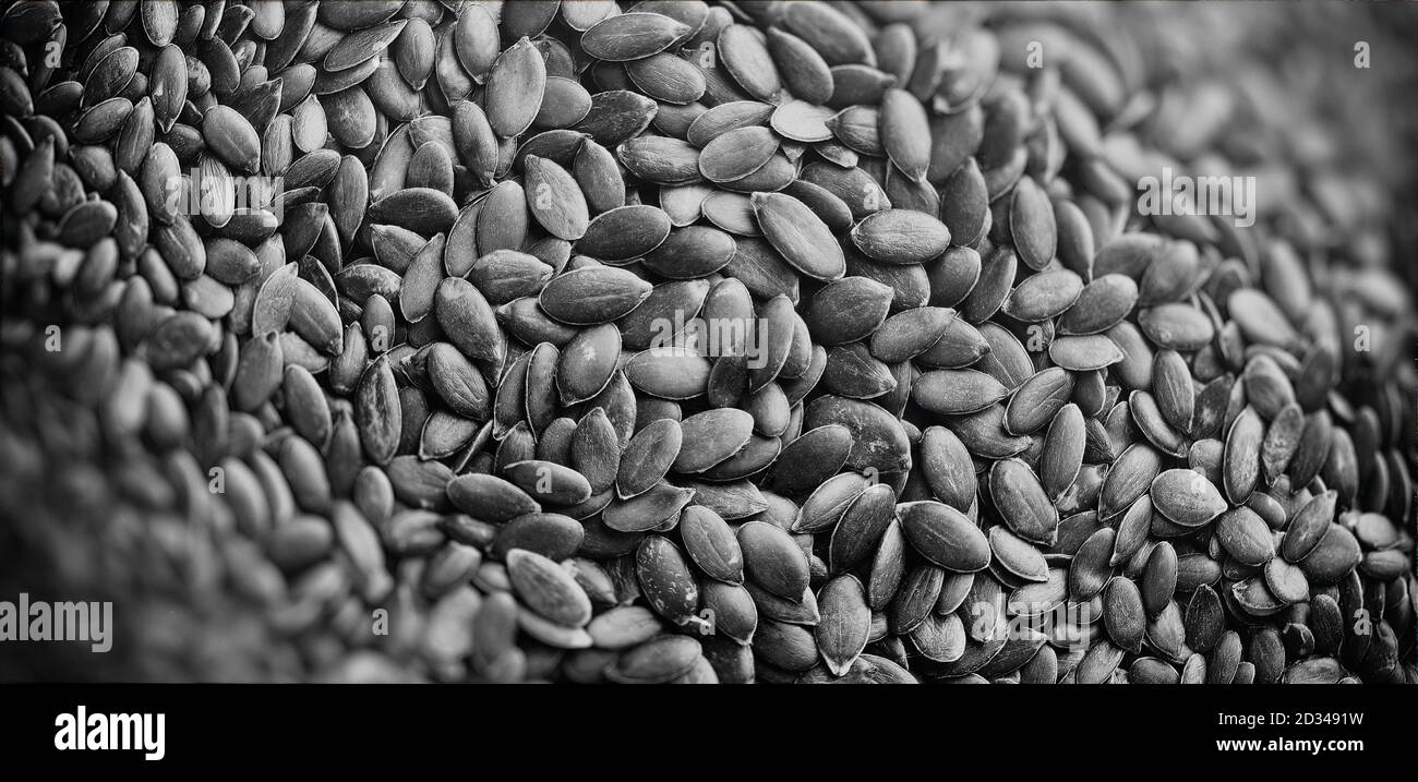 Semi di zucca immagine in bianco e nero con profondità ridotta di messa a fuoco Foto Stock