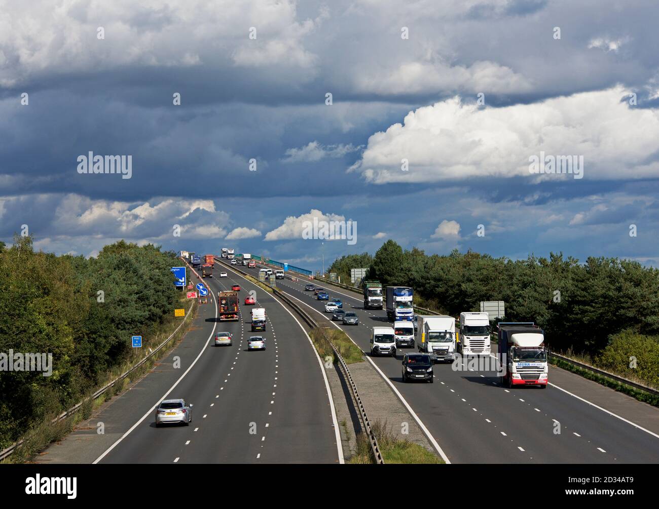Ramo di Betfred su strada pascolo Foto Stock
