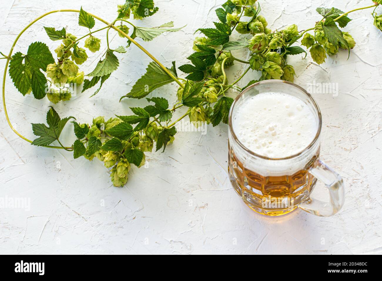 Tazza di vetro di birra con un ramo di luppolo su sfondo strutturato bianco. Vista dall'alto. Foto Stock
