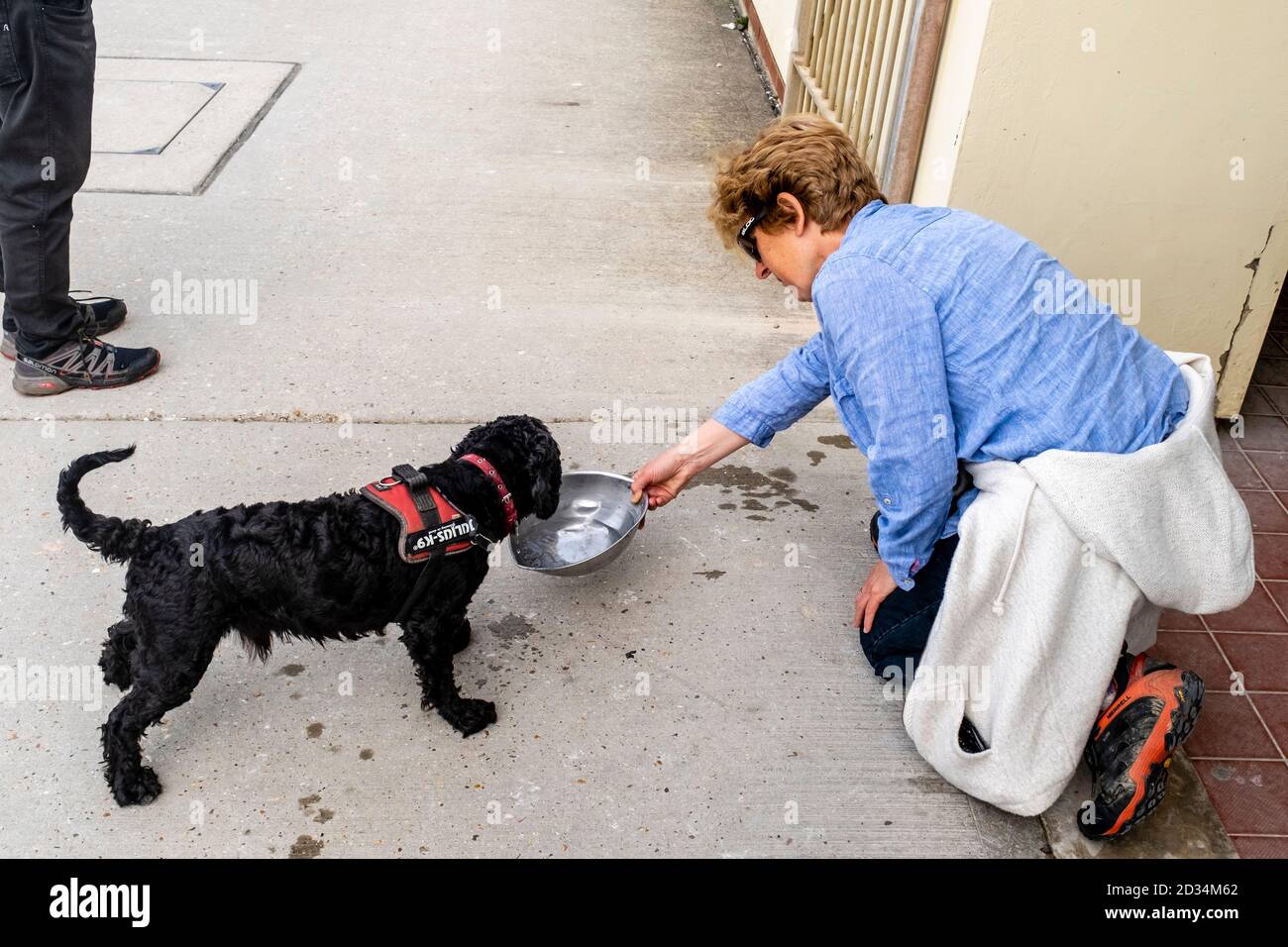 Una donna che dà UN cane una bevanda di acqua, Rottingdean, Sussex, UK Foto Stock