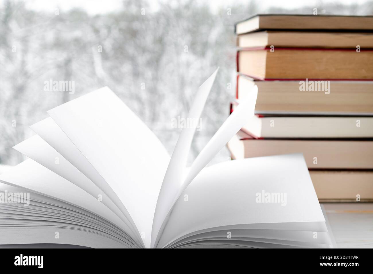 Pagine bianche pulite di un libro aperto sullo sfondo di libri antichi e foresta invernale Foto Stock